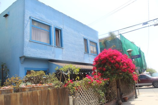 Kydee Williams Travelbyky.com