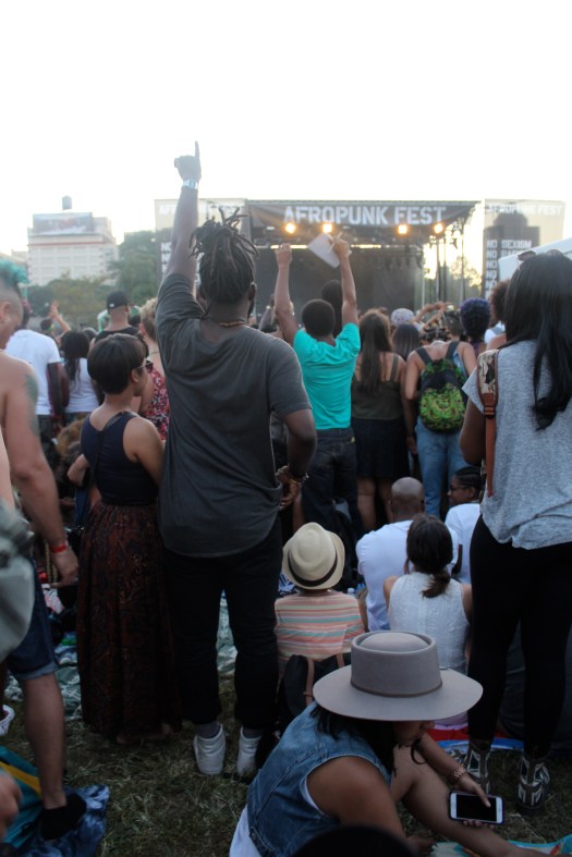Afropunk Fest 2015 travelbyky.com